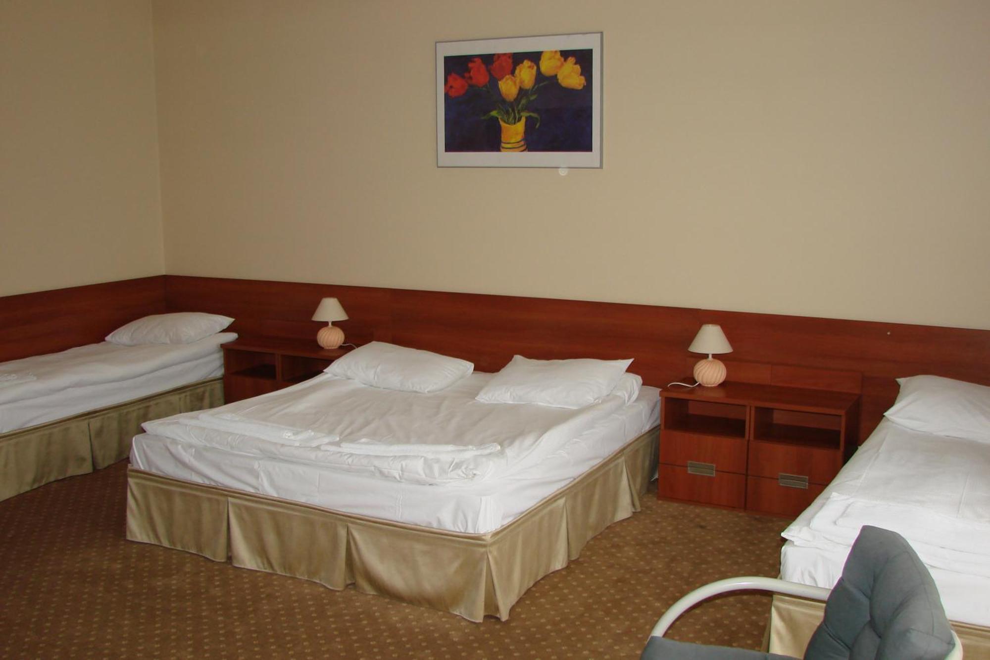 Amadeus Motel Lomza Ngoại thất bức ảnh